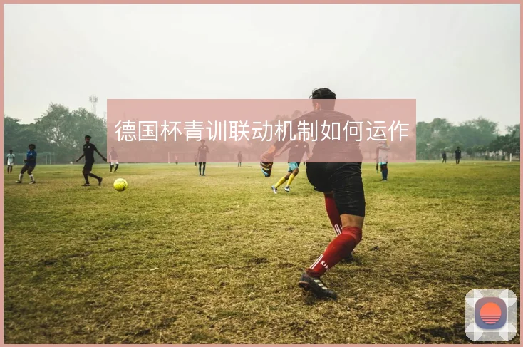 德国杯青训联动机制如何运作